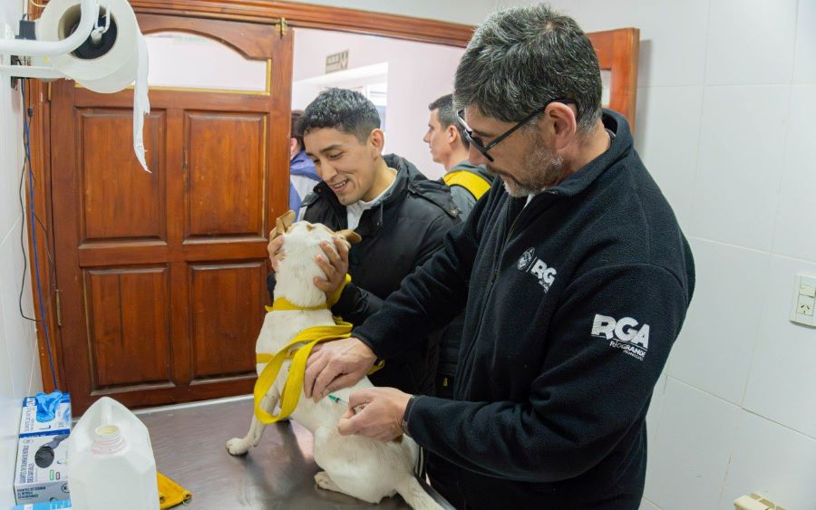 InfoTDF's tweet image. Alrededor de 250 mascotas fueron vacunadas contra la rabia en Río Grande informacionestdf.com.ar/contenido/7497…