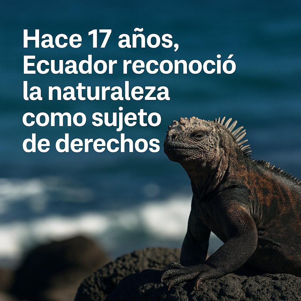 RXavierCastro's tweet photo. Un día como hoy, hace 17 años, Ecuador dio un paso histórico.
El 25 de julio de 2008 se aprobó la nueva Constitución,  𝐩𝐮𝐛𝐥𝐢𝐜𝐚𝐝𝐚 𝐞𝐥 𝟐𝟎 𝐝𝐞 𝐨𝐜𝐭𝐮𝐛𝐫𝐞 de ese mismo año, que por primera vez reconoció a la naturaleza como sujeto de derechos.
Cuidarla es cuidarnos. https://t.co/hnZCod48sm