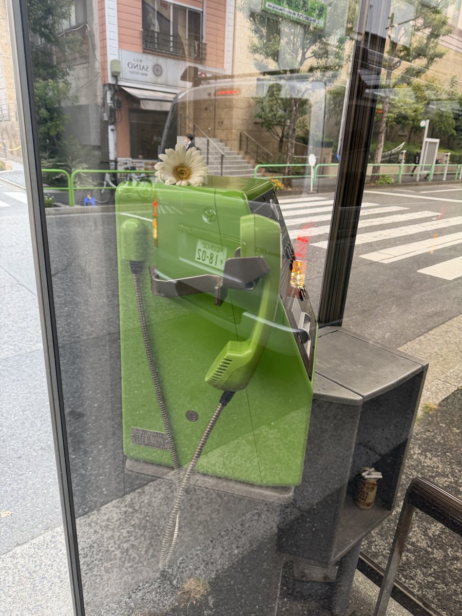 꽃이 싱싱한데??