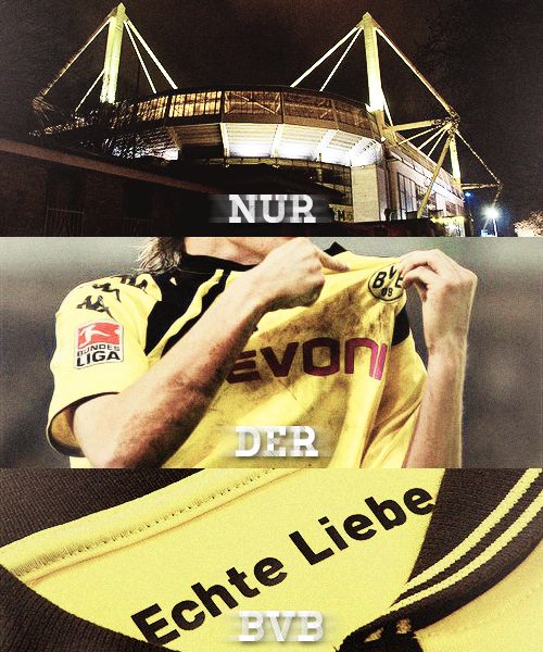r26_i11's tweet photo. #BvbDay .💛 https://t.co/RHPXLjIXL9