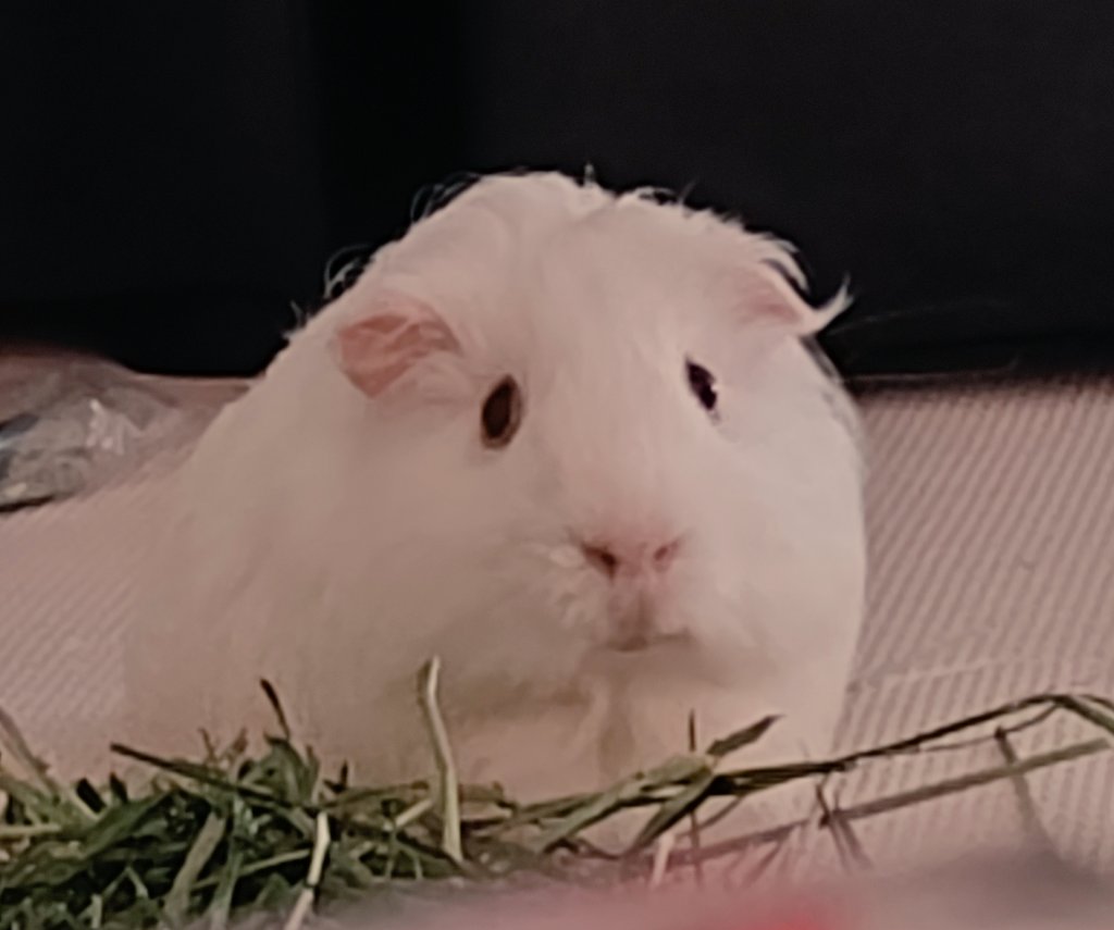 今日もかわいいﾁｭｯﾁｭ