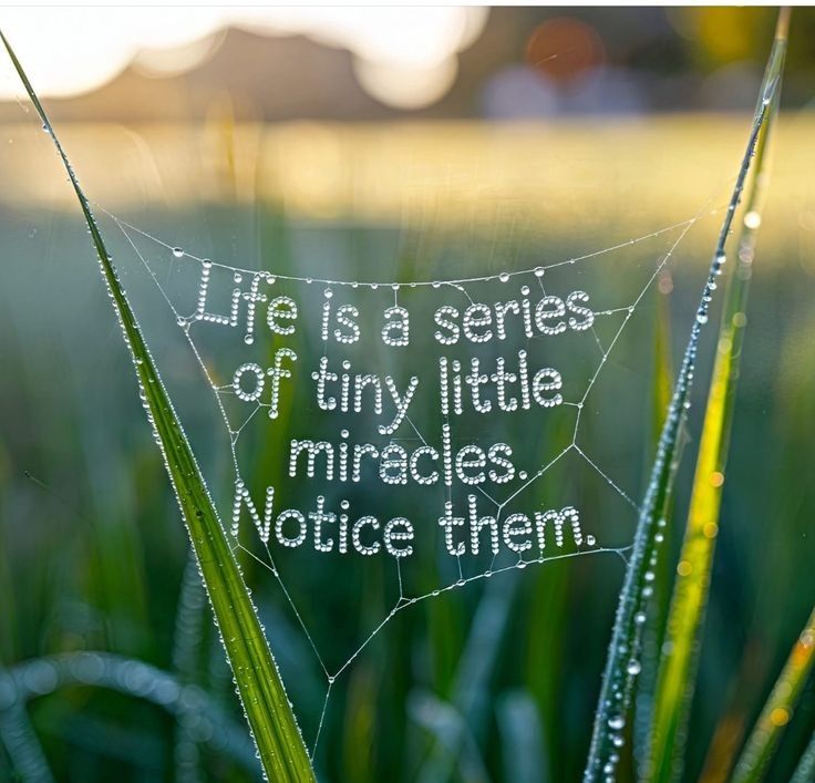 PositivitySaid's tweet image.