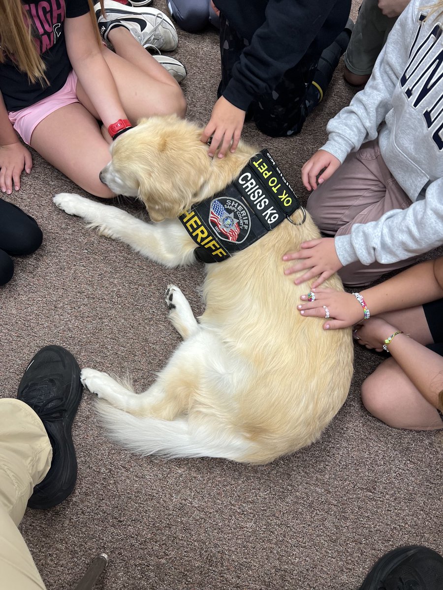 WonderdogHenry's tweet image. A huge thanks to Yutan Elementary for having us out to the 4th grade class and talk about what we do! It’s been pretty intense lately, so it was really good to get out and see smiles &amp;amp; hear laughter! And of course, get a plethora of ear scratches!🐾⁦@SarpySheriff⁩