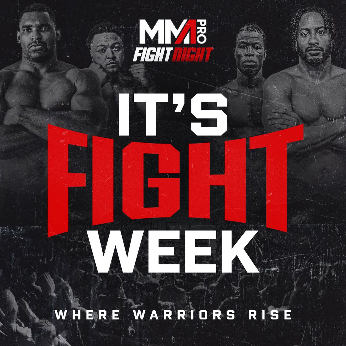 MMA PRO LEAGUE tweet media