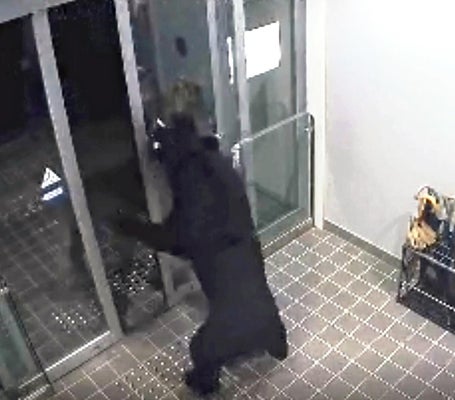 livedoornews's tweet photo. 【警戒】秋田・湯沢駅周辺の民家にクマが居座る、消防本部の玄関にも侵入
https://t.co/GbLSgQjDFv

きのう20日朝、湯沢、横手、由利本荘の3市で、男女6人がクマに襲われ、重軽傷を負った。6人とも命に別条はないが、ことしの秋田県内のクマによる人身被害は43人に上り��収まる気配が見えない。 https://t.co/1nc62VsgcS