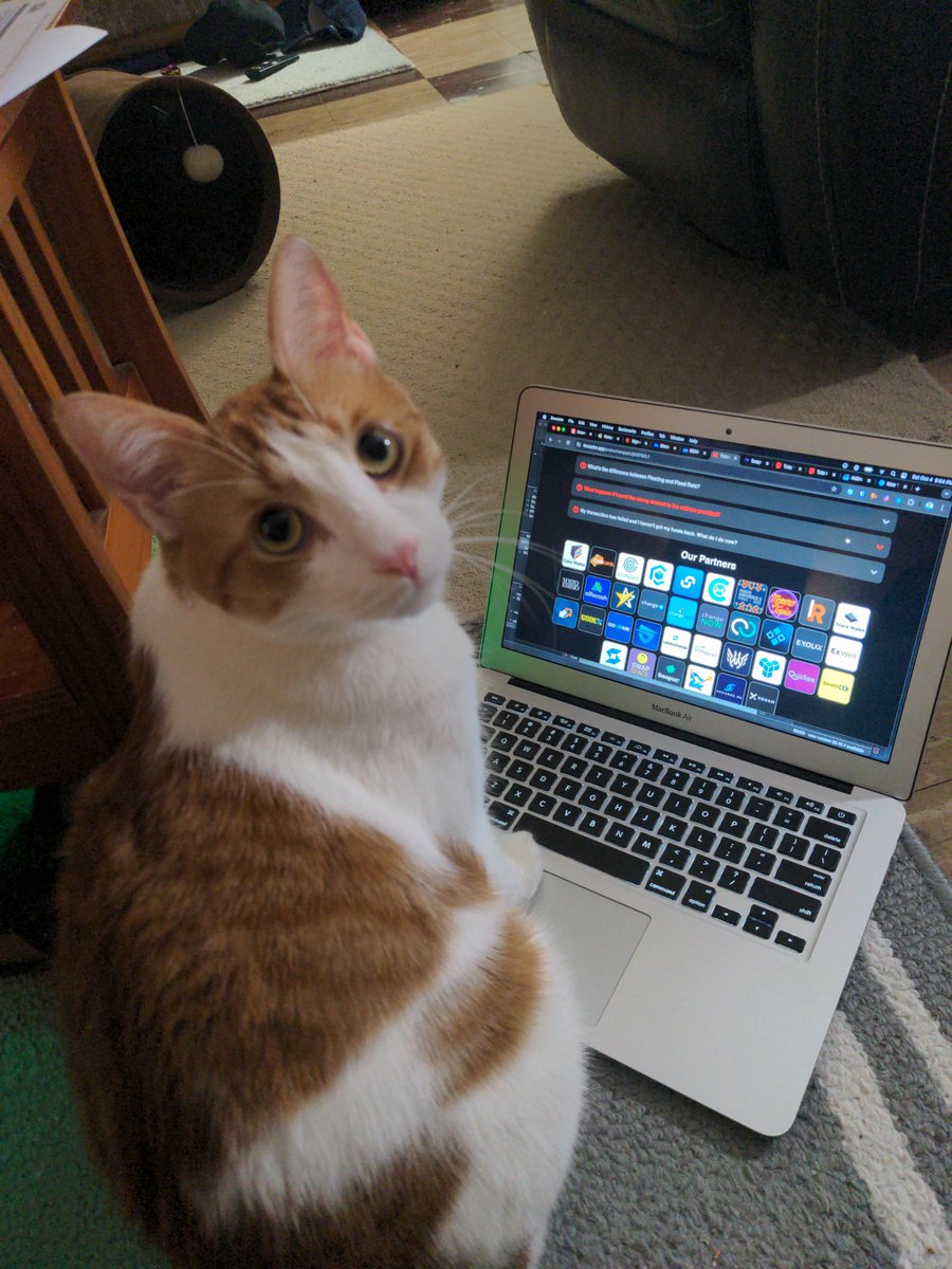 freQniKs's tweet image. My cat Sugo was swapping for $XMR on @TrocadorApp