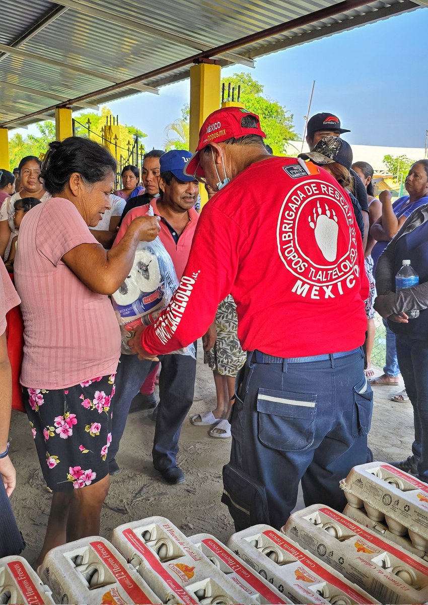 Topos® México tweet media