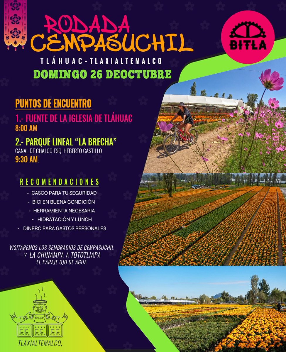 🚴‍♀️🌼 RODADA CEMPASÚCHIL 🌼🚴‍♂️
Tláhuac – Tlaxialtemalco

El camino se llena de color, de vida y de memoria. 🌾💛
🕯️✨

Pedalearemos entre los sembradíos dorados de la temporada, respirando el aroma que guía el regreso de nuestros seres queridos. 🚲💐