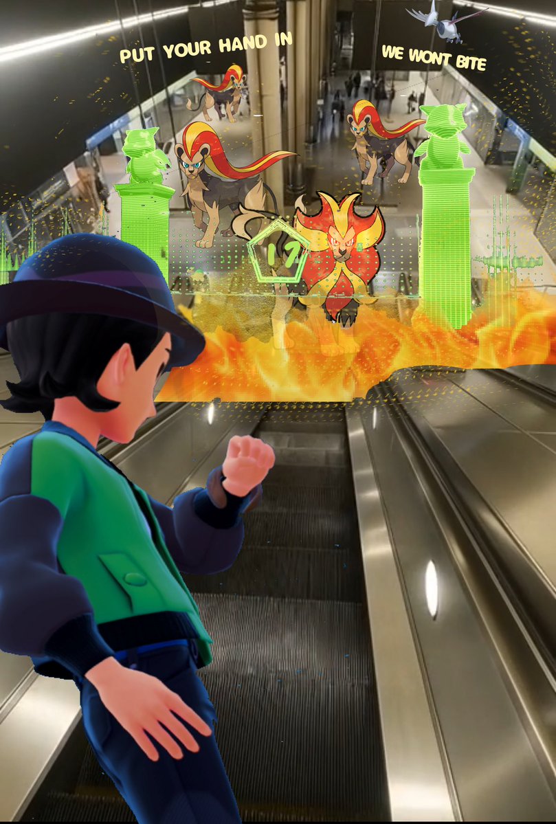 How trainers see wild area 17