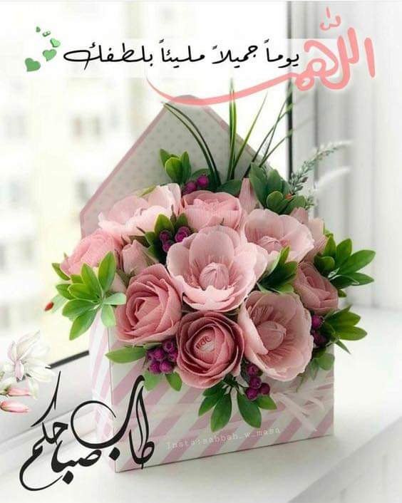 #وبك_اصبحنا 
ندعوك اللهم في هذا الصباح أن تشرح صدورنا، وتيسر أمورنا، وأن تحلل عقدة من ألسنتنا، يفقهوا قولنا. اللهم فوضناك أمرنا كله، فجمّله خيرا بما شئت، واجعلنا يا رب ممن نظرت إليه فرحمته، وسمعت دعاءه فأجبته..
#صباح_الخير_والسعاده🤍🕊 
#صباحكم_سعادة 💙🦋