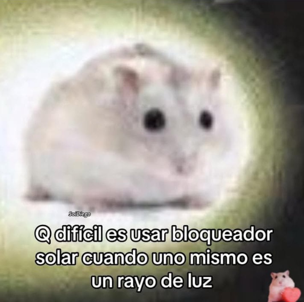 Ary | yem 🦋 tweet media