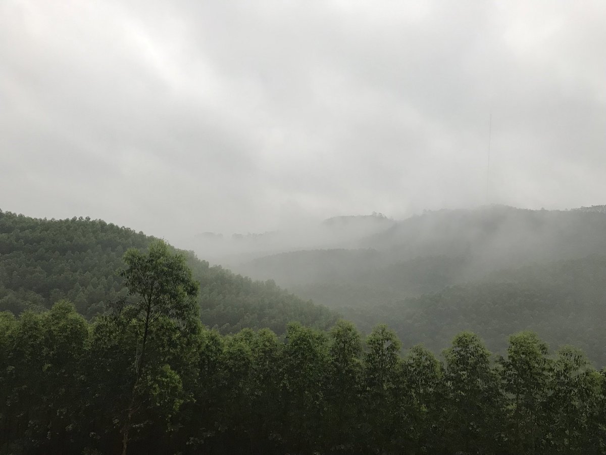 Linjun866's tweet image. 冷空气到达……又是一年的冬天，多少有些焦虑啊！仍然没有拿到自己想要的结果～