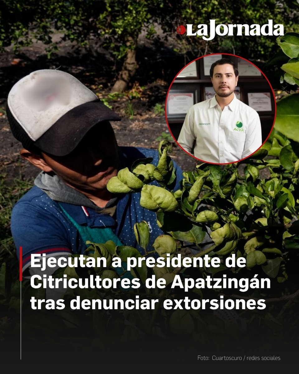 Bernardo Bravo, presidente de citricultores de limón de la región de Tierra Caliente, Michoacán, fue hallado sin vida y con huellas de violencia a un costado de la carretera Apatzingán–Presa del Rosario.

Días antes, Bravo había denunciado públicamente la crisis de inseguridad y