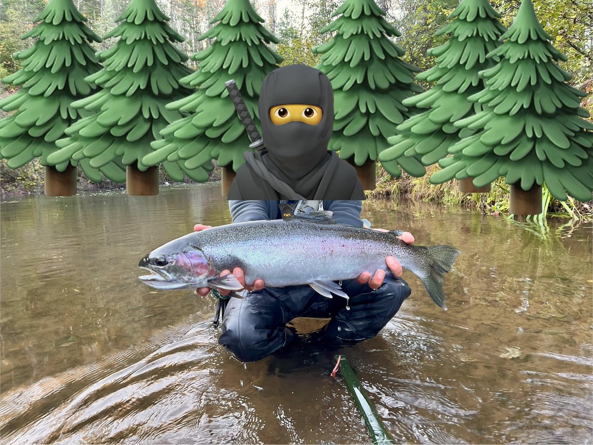 FlakeFood's tweet image. Great Lakes Steelhead
 
flakefood.com/788827/great-l…
 
#Fishing #FlyFishing #FlyFishingGear #FlyFishingTackle #FlyTackle