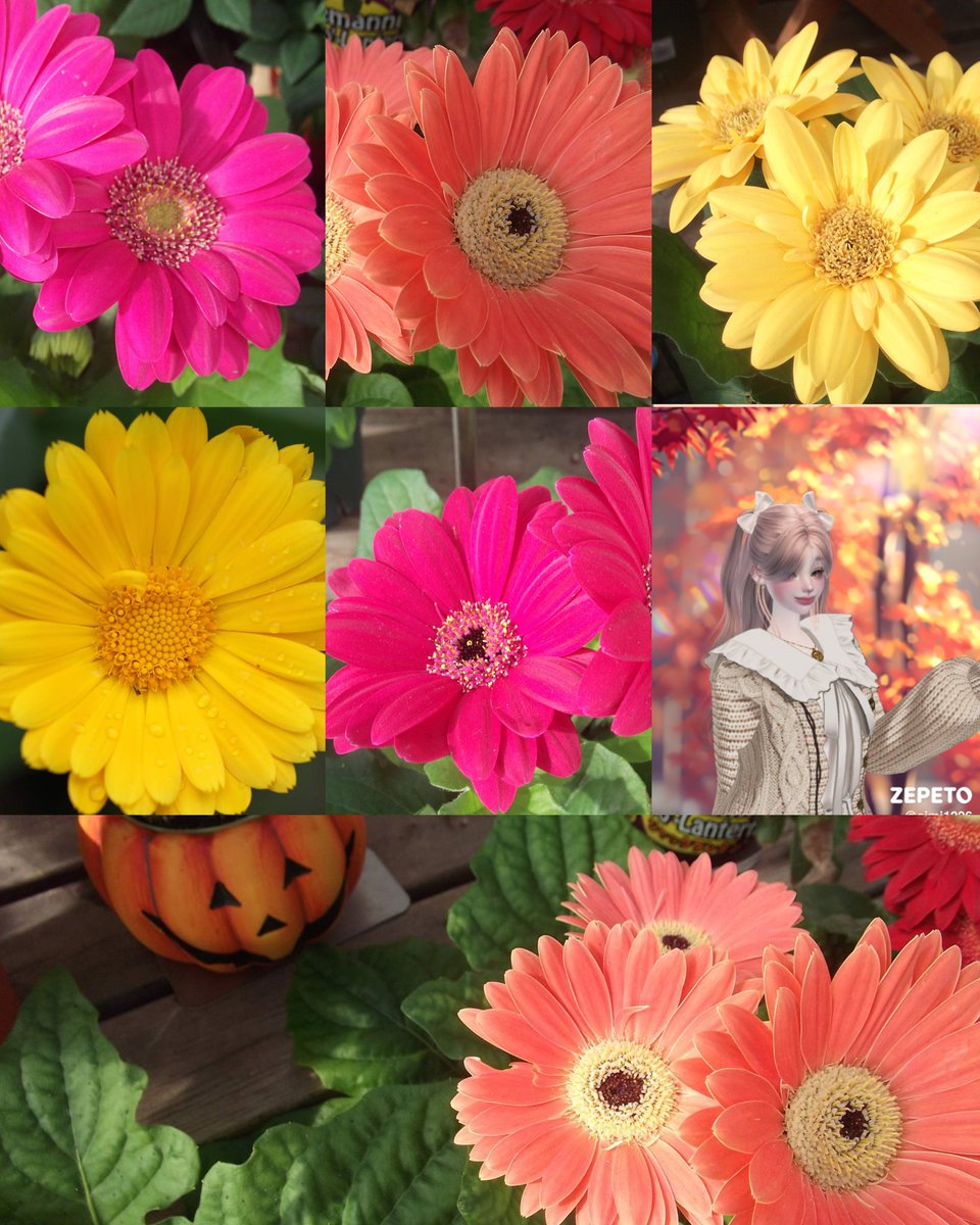 あいみママ on X