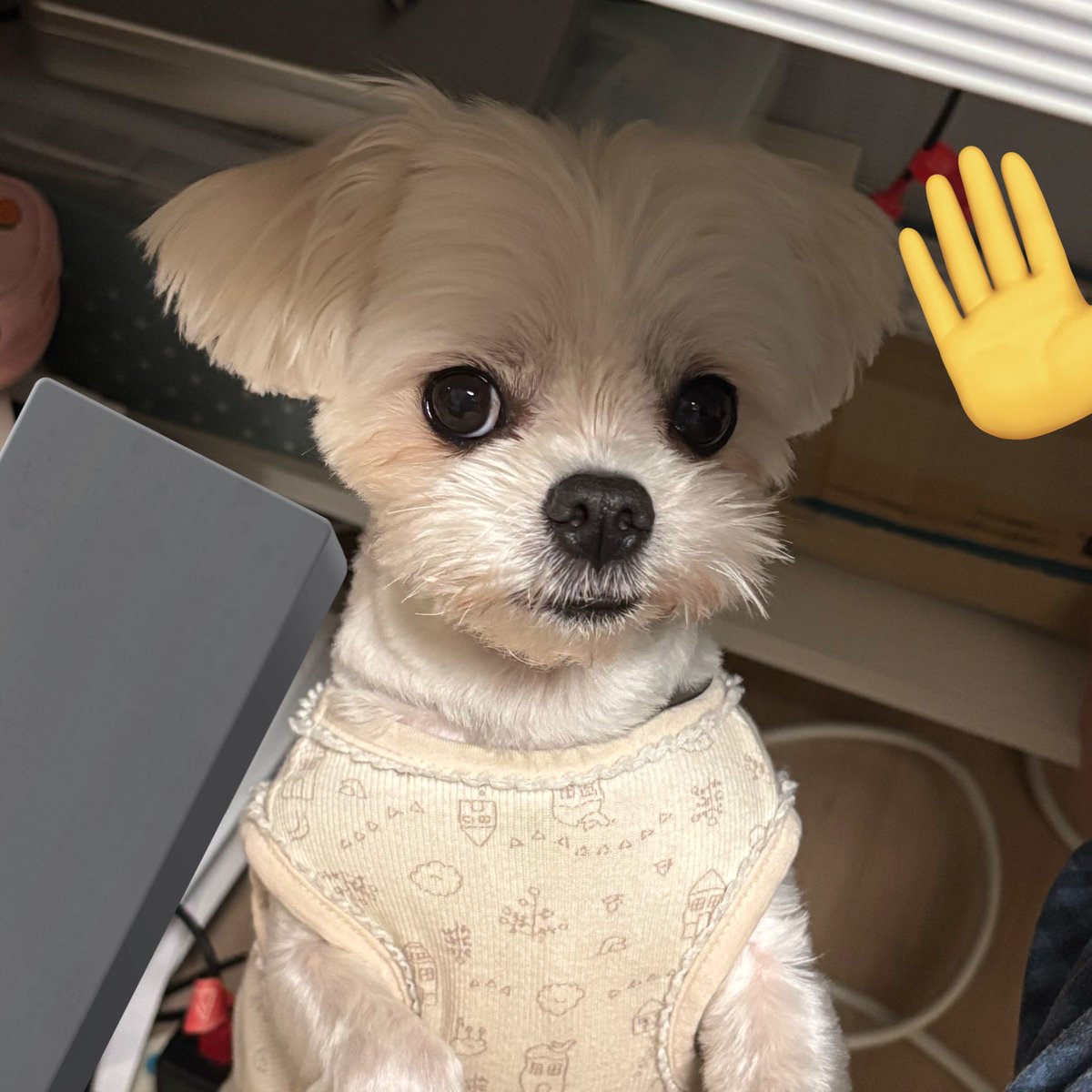 헐... 알티머지
감사합니다 애가 싸가지가없어서글치 착해요