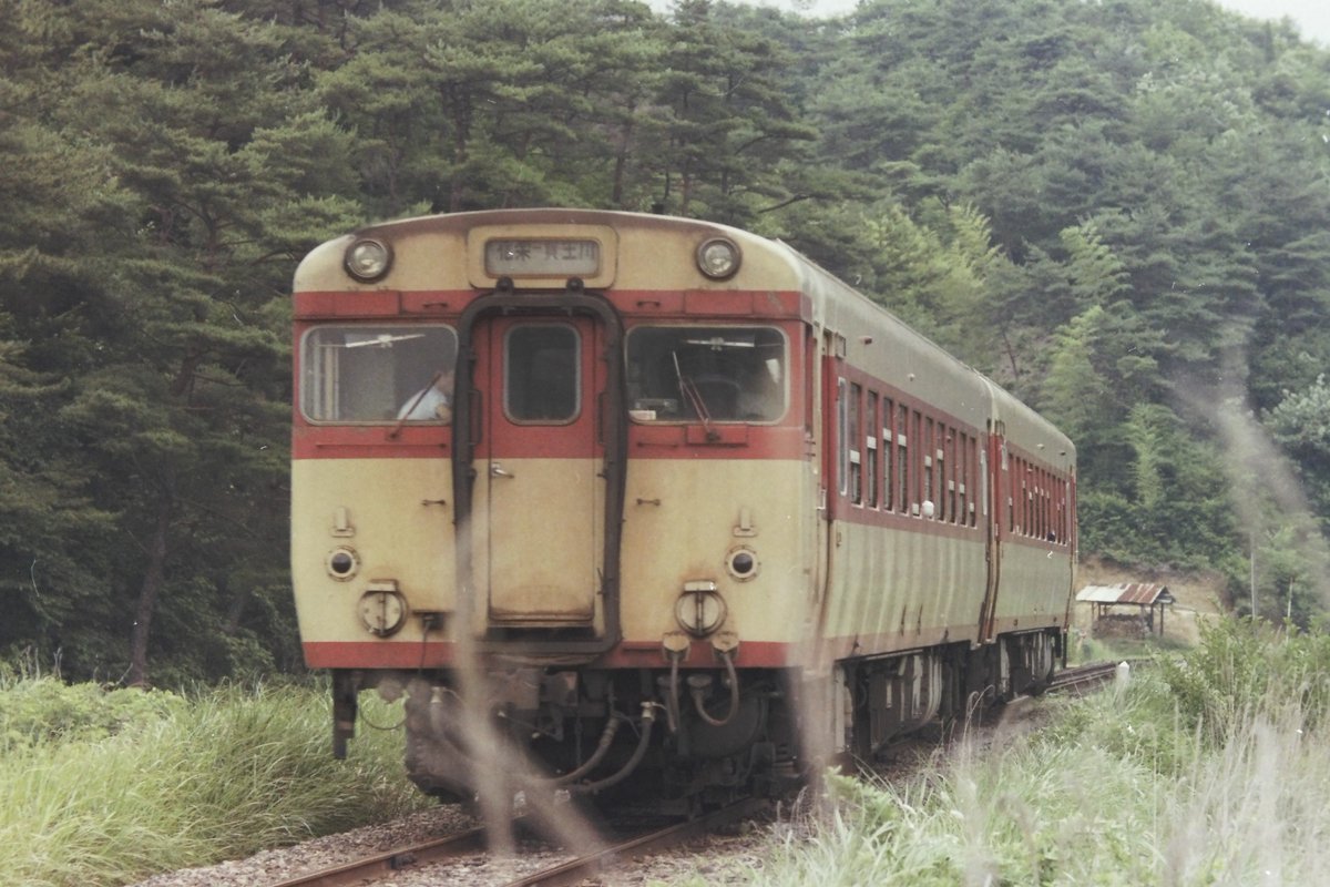 ワンコ様4 わんこ (@c4Y2v9RCk6l5pCA) / Posts / X