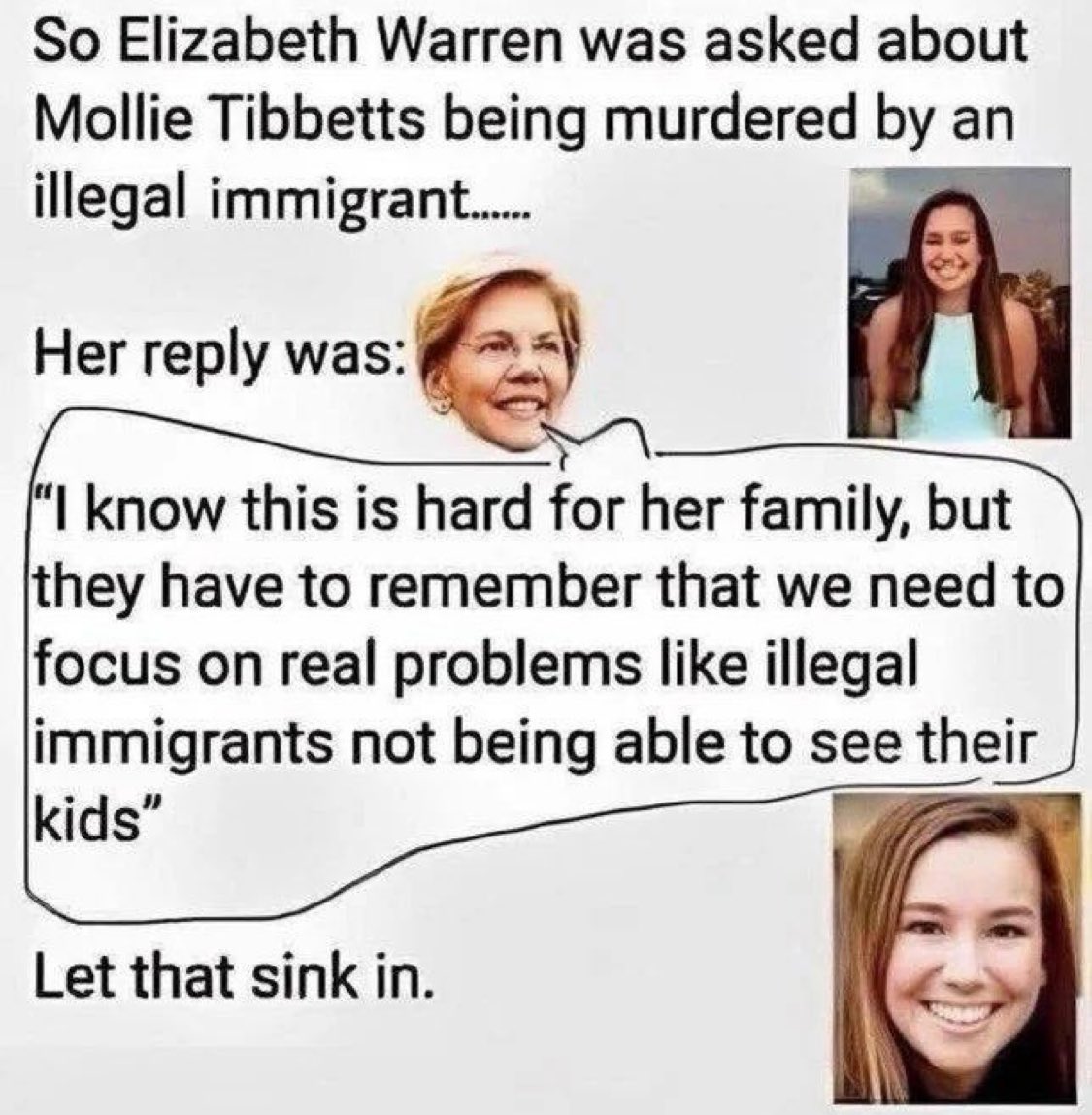 This is what Elizabeth Warren cares about. Democrats care about Votes from illegals to give them power over Citizens!