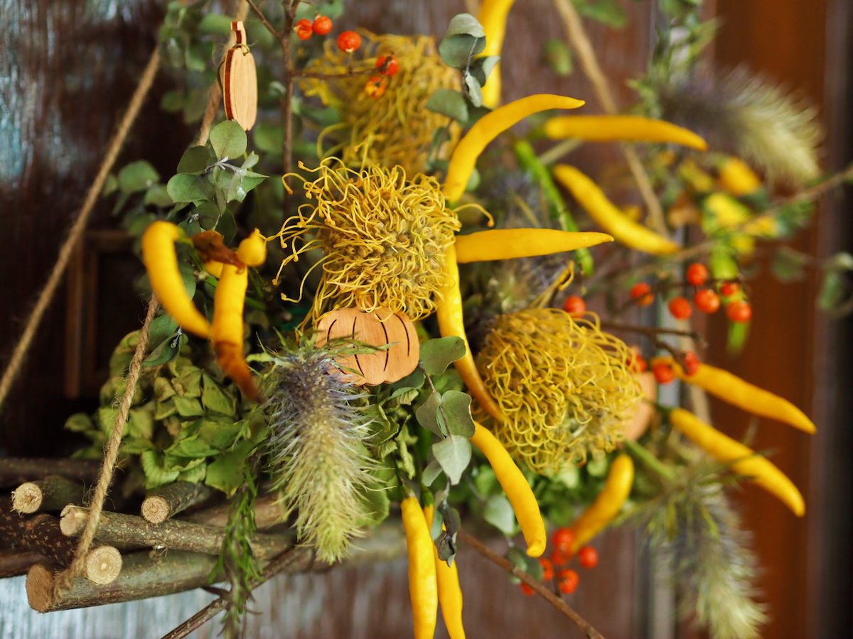  arty ⁸₂₂🎸📷🍜🍶 on X