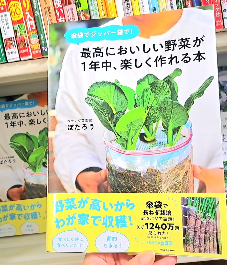 なつやさいぽしぇっと３点せっと 旭屋書店新越谷店 on X