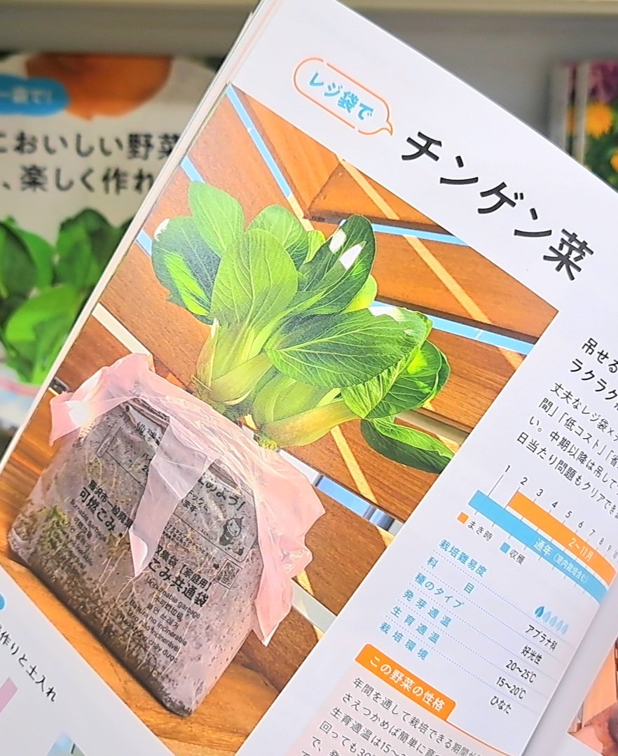 なつやさいぽしぇっと３点せっと 旭屋書店新越谷店 on X