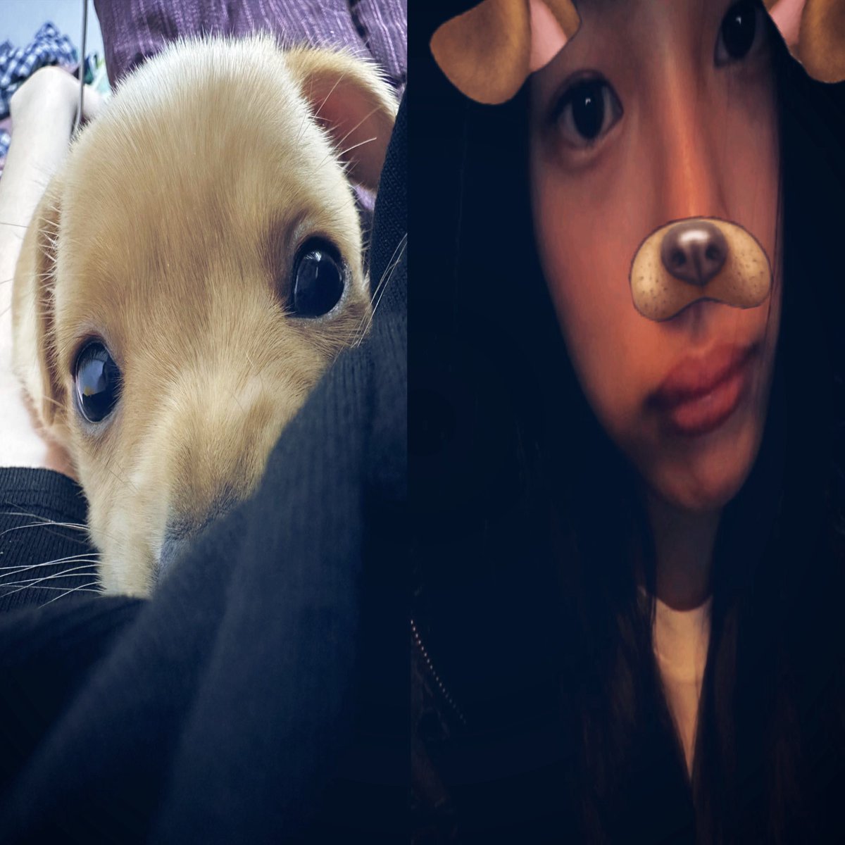 ً kimmin’s first fan is a fan acc (@honeymoonsave) on Twitter photo 