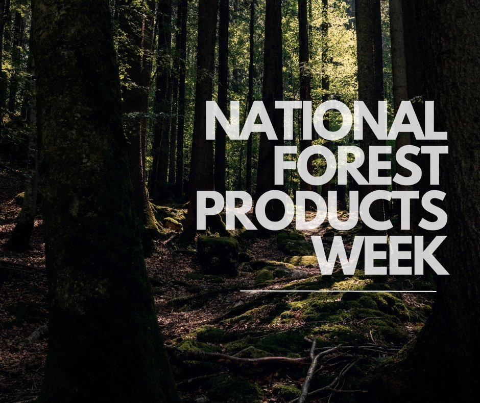 National Forest Products Week is here. Please join us in recognizing and suporting the vital role Washington's working forest products play in the U.S. and state economy and in providing a renewable product for current and future generations. #workingorests #forestproductsweek