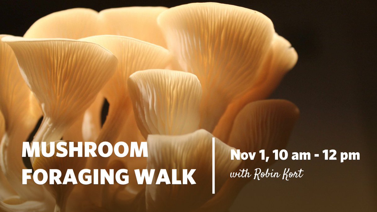 Centre for Sustainable Food Systems at UBC Farm tweet media