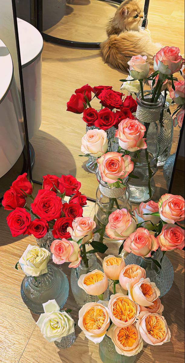 Assalamoaliekum💐

Good Morning “X” Family🌸

Stay Blessed And Be Happy😊🥀

(Mutual Rt )💯