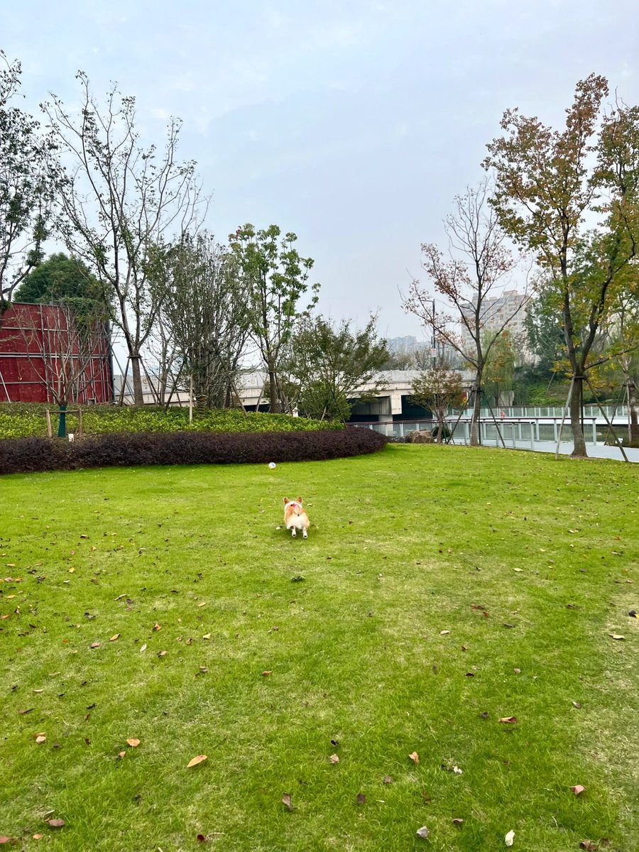 Codqwtrick's tweet image. 