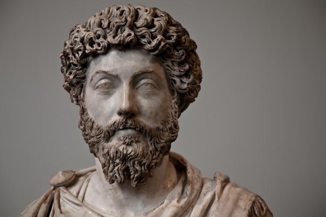 Michael McGill 🏛 tweet media