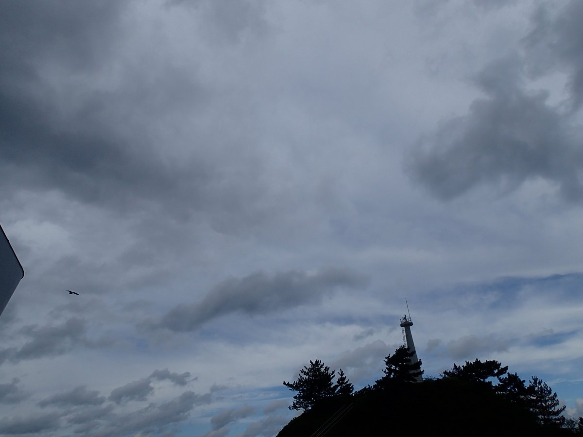 おはようございます♪今日もあいにくの曇空です・・
風も冷たくなってきました。
インフルエンザも猛威をふるってきています。
体調管理大事ですね！！
今日も皆様のお越しをお待ちしております(^▽^)/