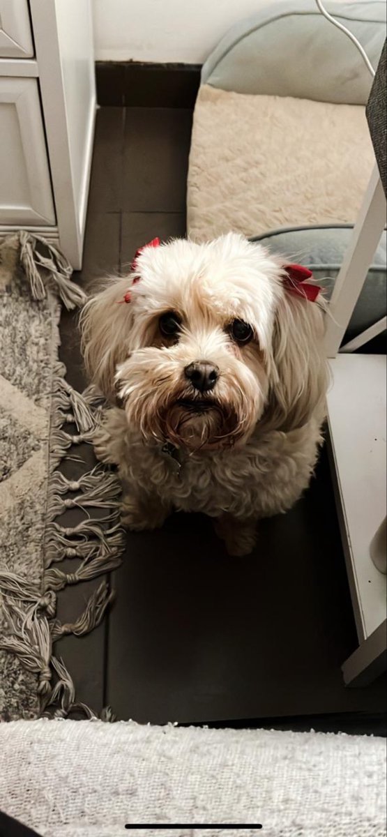 Robert lll 🇲🇽🇺🇸 tweet media