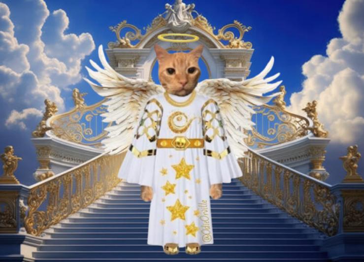 I think this Halloween costume perfectly captures my inner angelic nature, don't you? 😹🎃👻