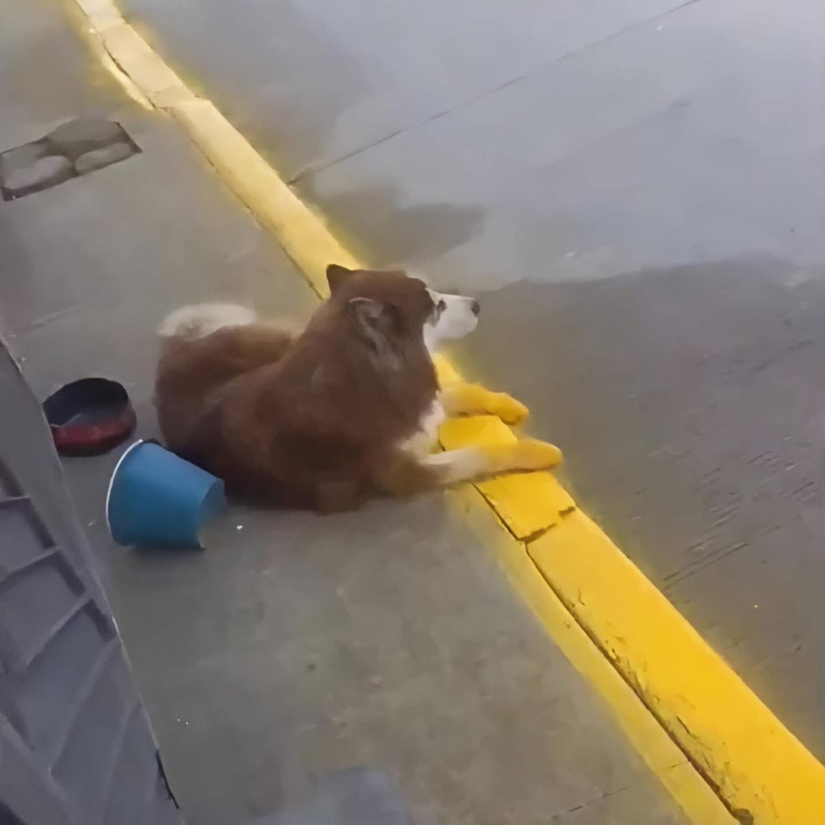 Trabajadores PJF // Reforma al PJF