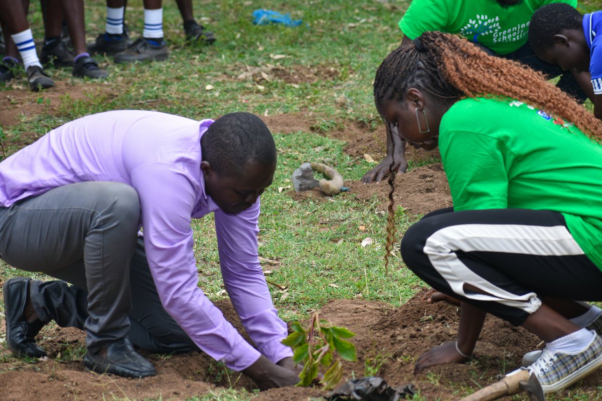 Youths For Green Action Kenya tweet media