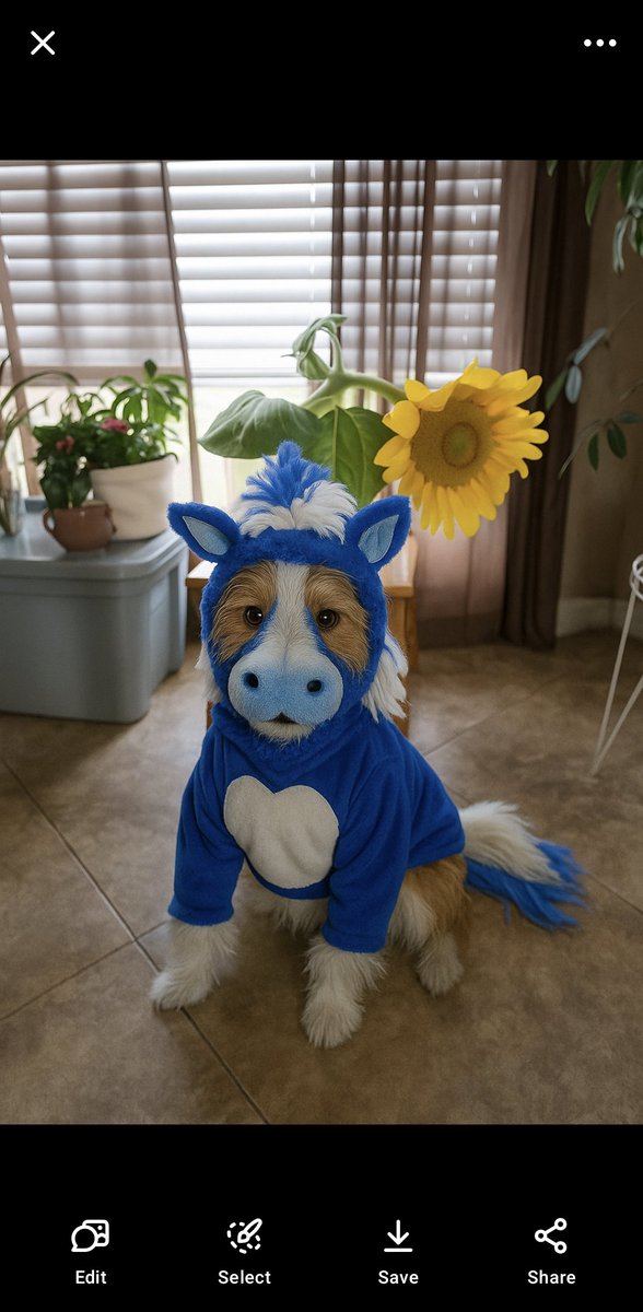 carlaneal24's tweet photo. @blue @meijer I had ChatGPT make my dog into @blue for Halloween. We need a pie in the face! 🐾♥️🐾♥️🐾♥️ https://t.co/HENV89uU3k
