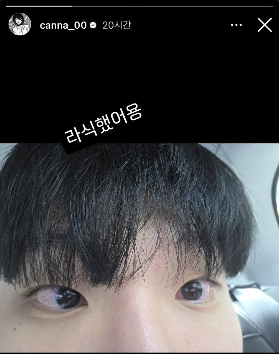 도토리 tweet media