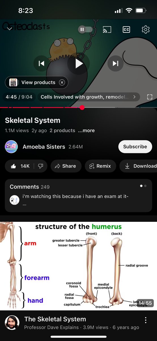 mneiari's tweet image. Pakshet, crash course sa YT kay wala gasulod sakon utok ang ara lang sa transes