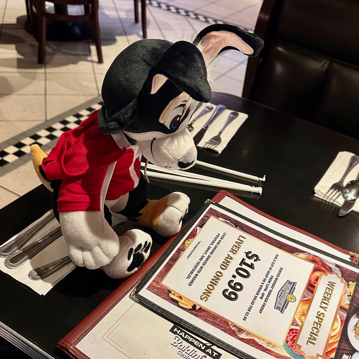 Dinnertime!
They say onions aren't good for dogs, but the truth is everything is good for dogs. If you get sick and die after eating it, that's just a totally unrelated coincidence. *dog logic*
#softcandytoys #furry