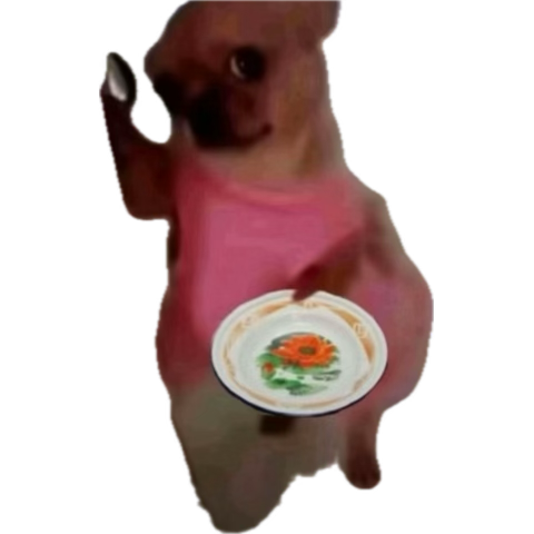 Haleyne L (@lhaleyne) on Twitter photo 