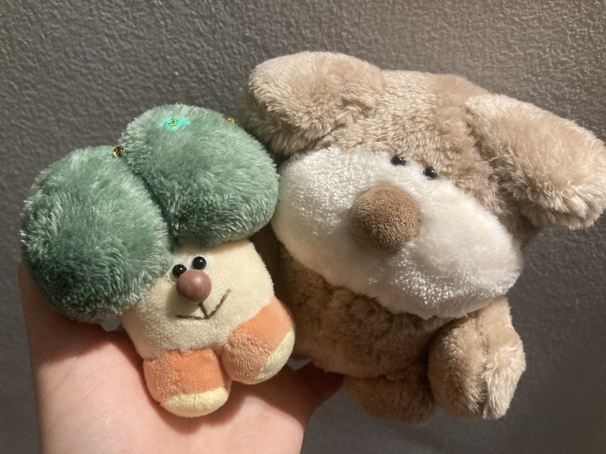 風邪ひかないでね🐶🍂🤍🥦