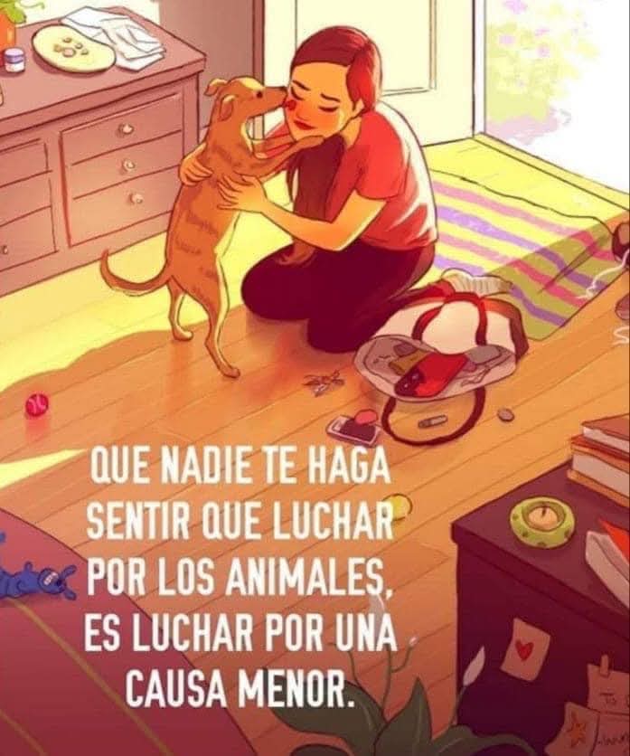 Buenas noches ✨💖