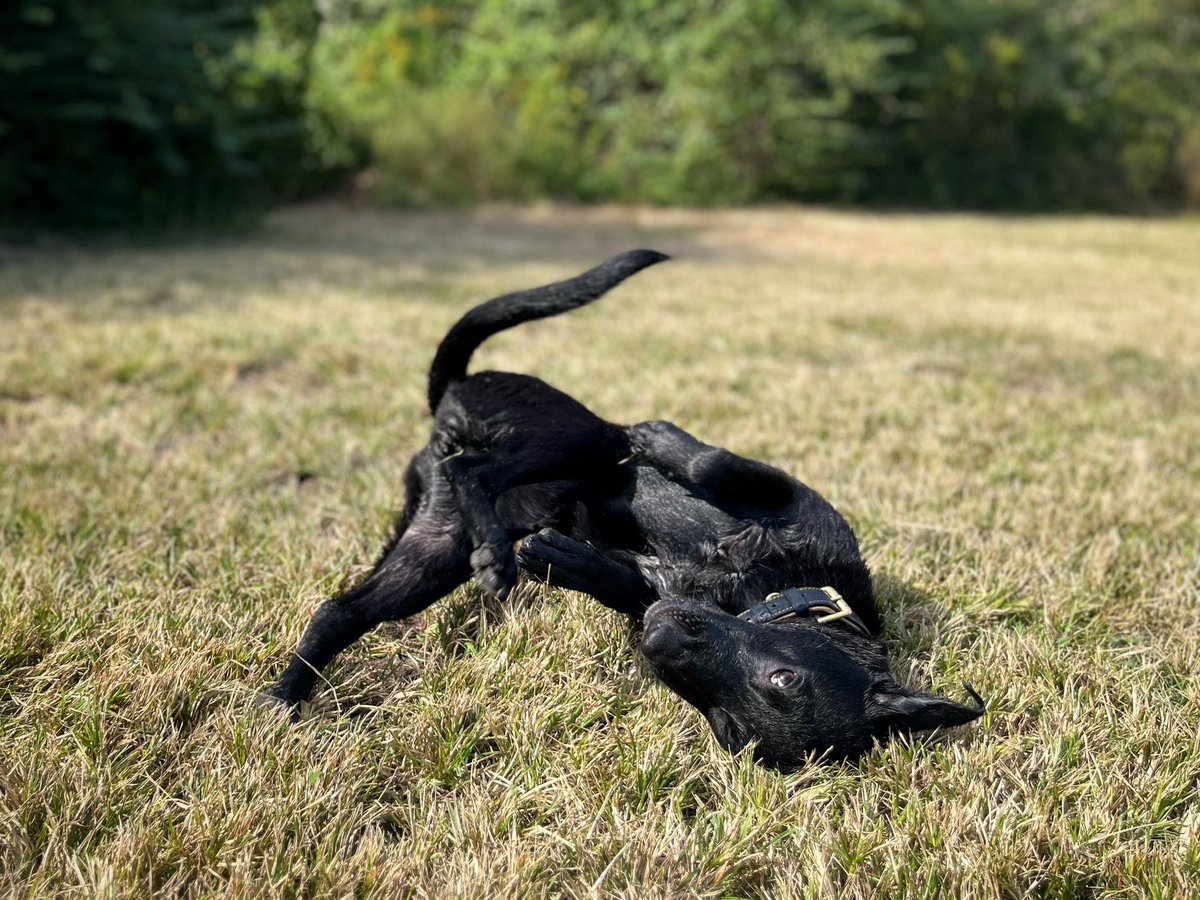 John Stortz tweet media