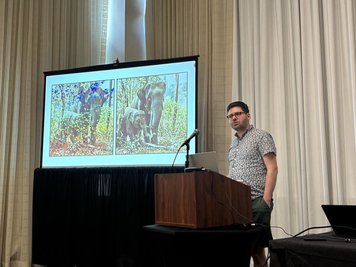 Xindi Wu tweet media