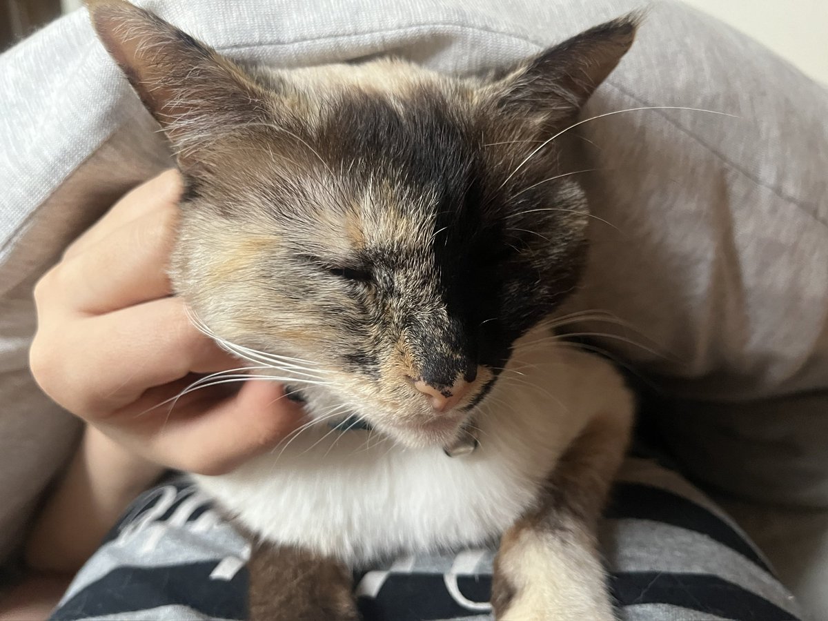 eqnard's tweet image. 