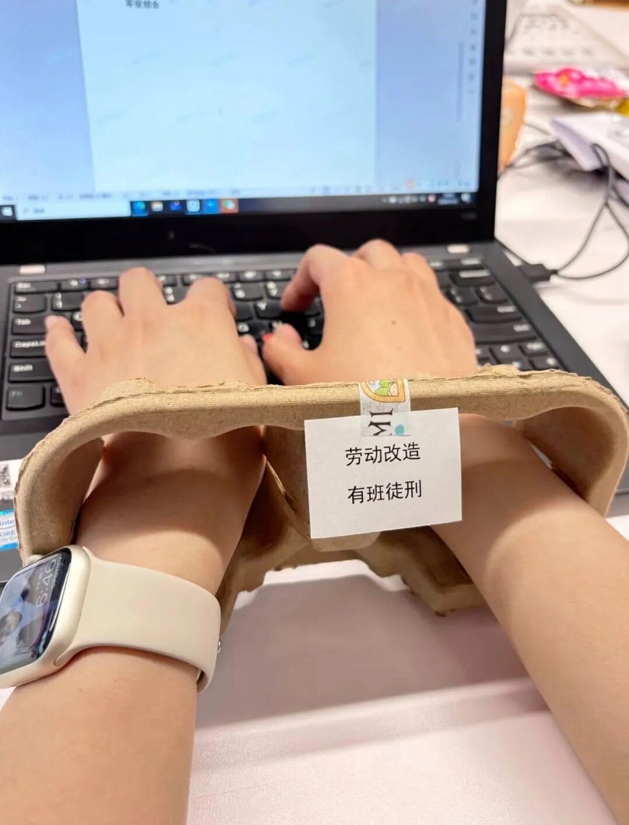 梁秋秋(互fo) tweet media