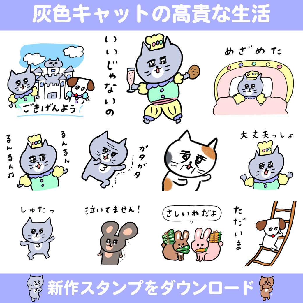 モモさん専用（他の方はリンクからお願い致します） モモちゃんをさがせ！part11】 スタッフからのお知らせ！ 今日は