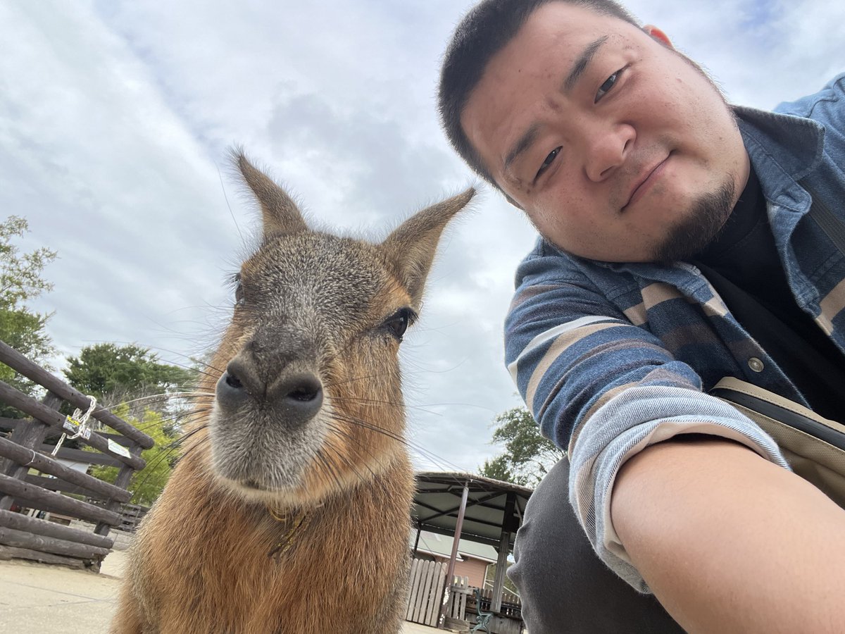 02ka1's tweet photo. マザー牧場で
リブラとフルゴールと
マーラとうさぎに触れ合ってきたよ！ https://t.co/H1q3ZUt5KJ