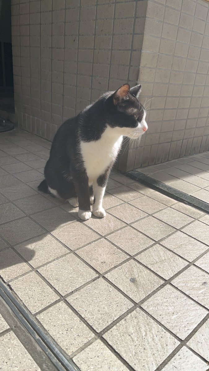 みなさまおはようございます😊

外の様子もすっかり冬が近づいているなと思いながら歩くちかげです♪

涼しいより寒いに近くなってきて人肌恋しくなる季節です🥶

本日、急ではありますが出勤となります🍀*゜

お時間11~24時となりますので、ぜひご予定合う方いらっしゃいましたらお待ちしております♡